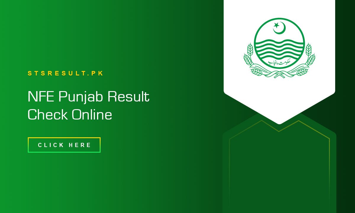 NFE Punjab Result 2024